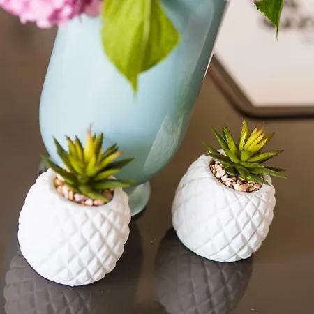 Mikulic Διαμέρισμα