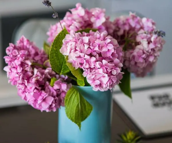 Mikulic * Μακάρσκα